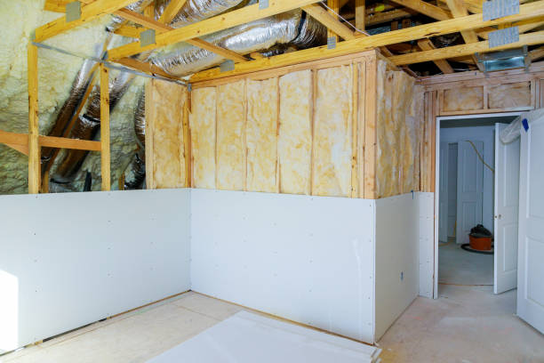 Best Geographic-Specific Insulation Services in Scott, LA