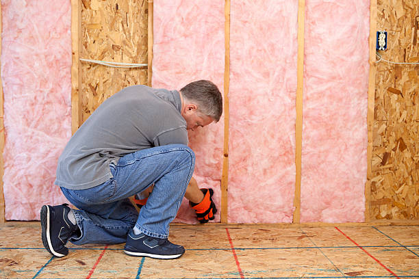 Best Blown-in Insulation in Scott, LA
