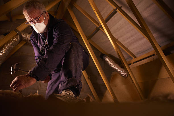 Best Spray Foam Insulation in Scott, LA